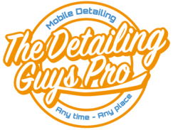 Logo-the detailing guys pro